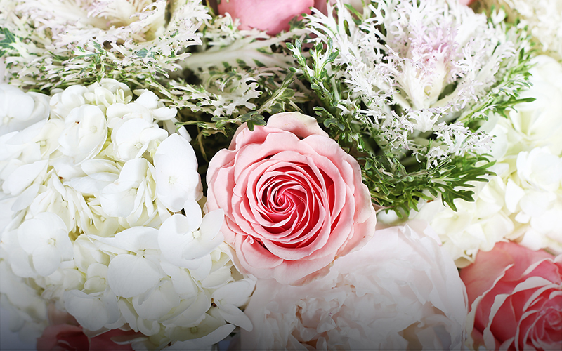 Jamie Volkenner, Buffalo, NY Obituary, Death